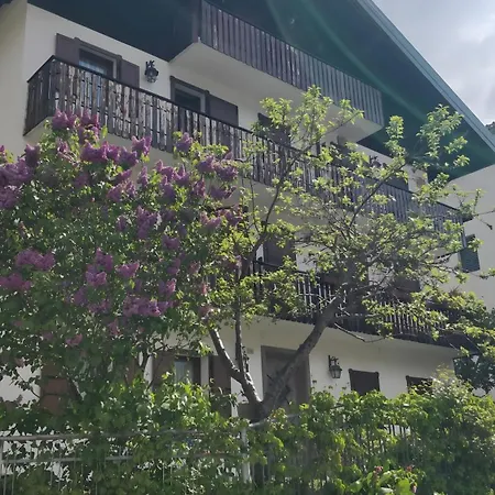 アパート La Casa Dei Cervi A Vinigo Vodo Cadore