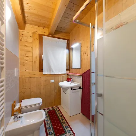 Apartament La Casa Dei Cervi A Vinigo Vodo Cadore