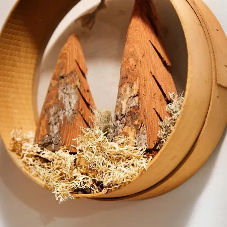 La Casa Dei Cervi A Vinigo Apartament Vodo Cadore