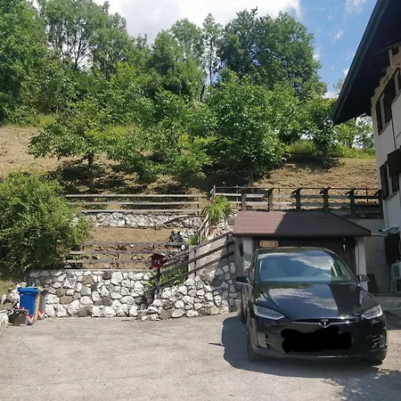 La Casa Dei Cervi A Vinigo * Vodo Cadore